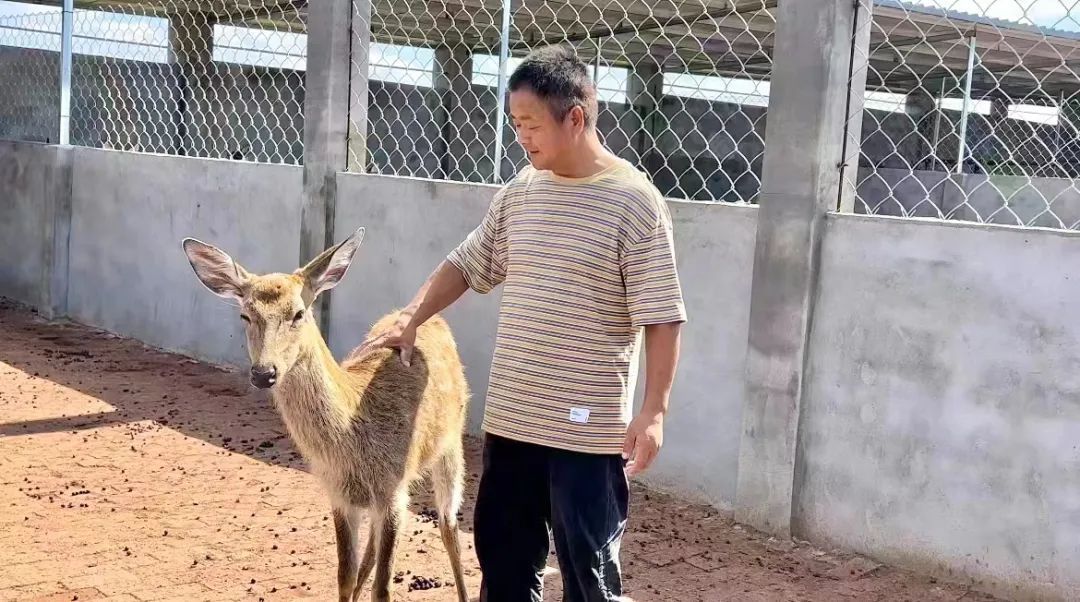 真钱盘口官方